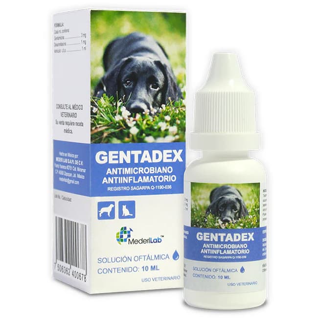 GENTADEX