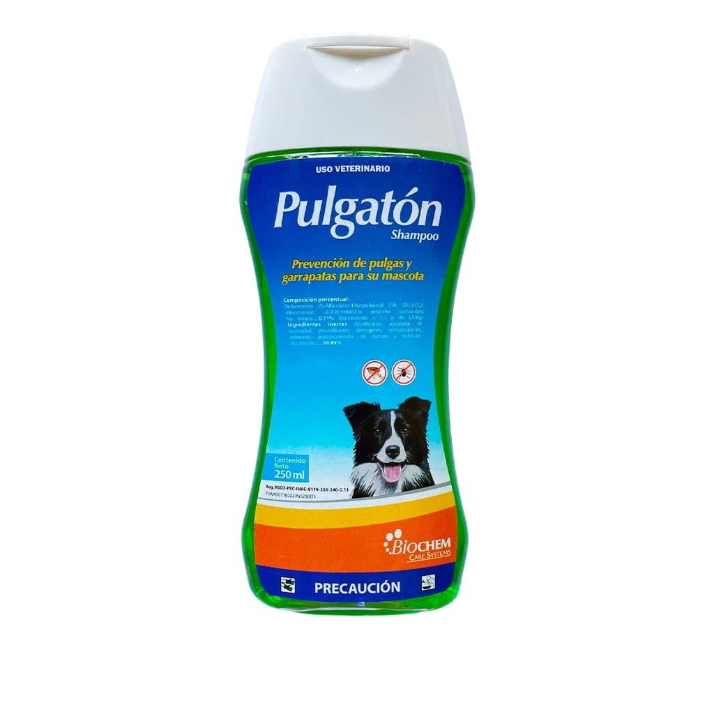 PULGATON SHAMPOO