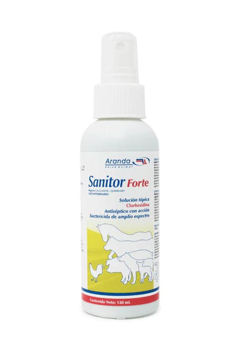 SANITOR FORTE
