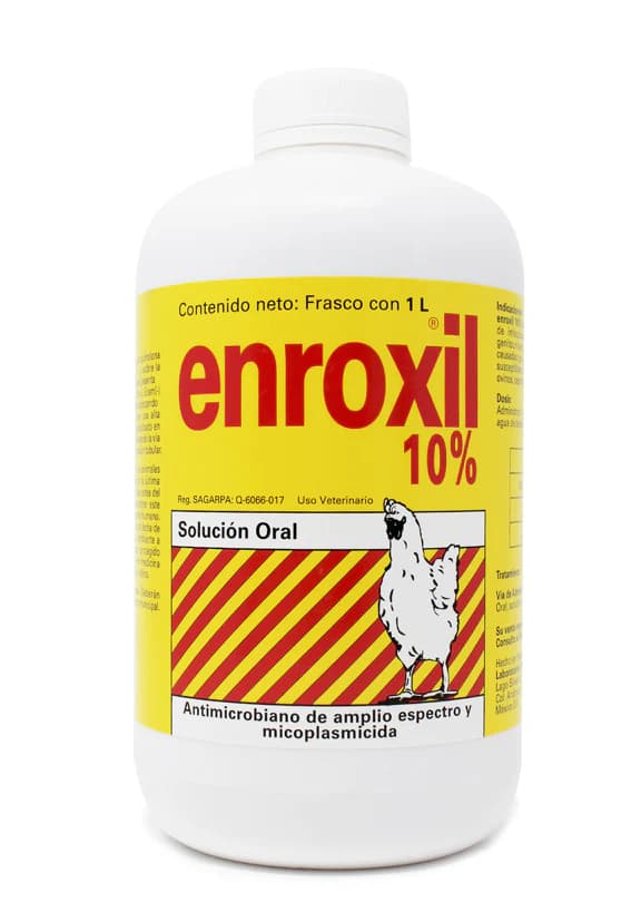 ENROXIL 10 % ORAL
