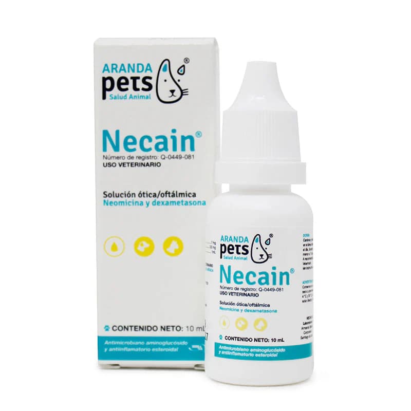 NECAIN