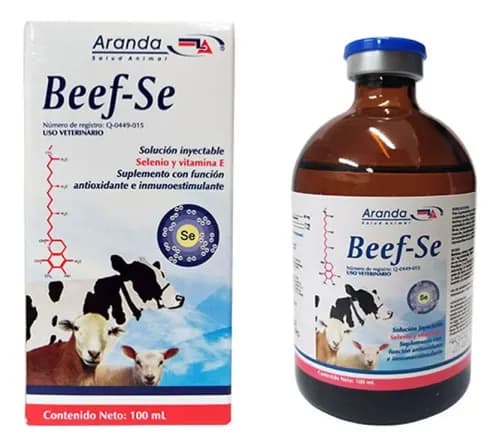 BEEF-SE