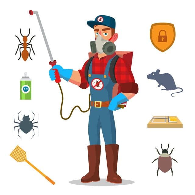 Insecticidas